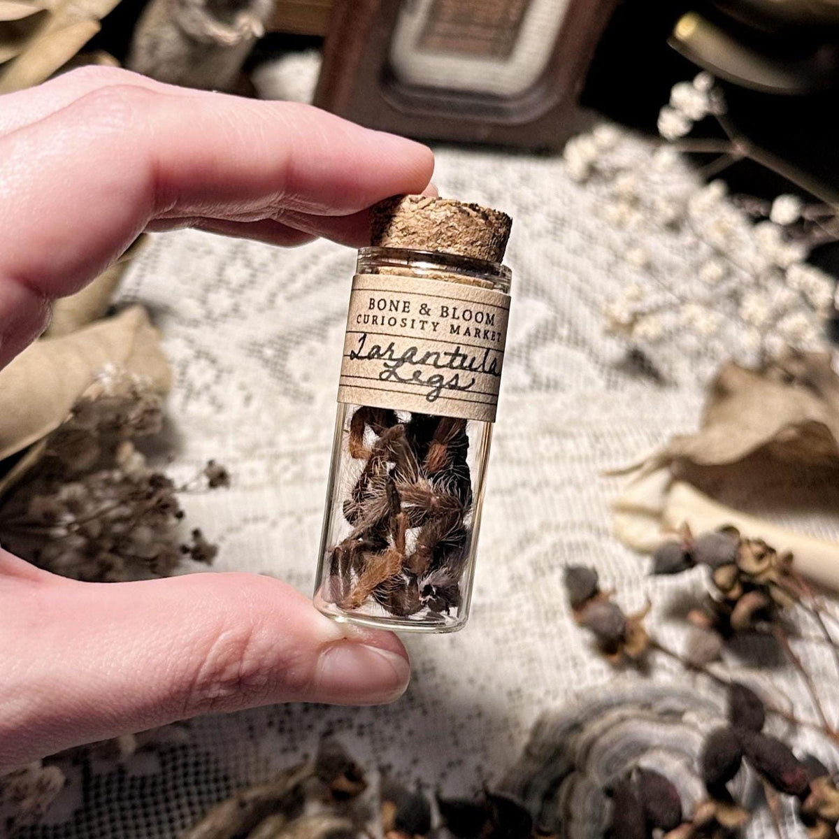 Petite Tarantula Legs in Glass Vial – No. 01