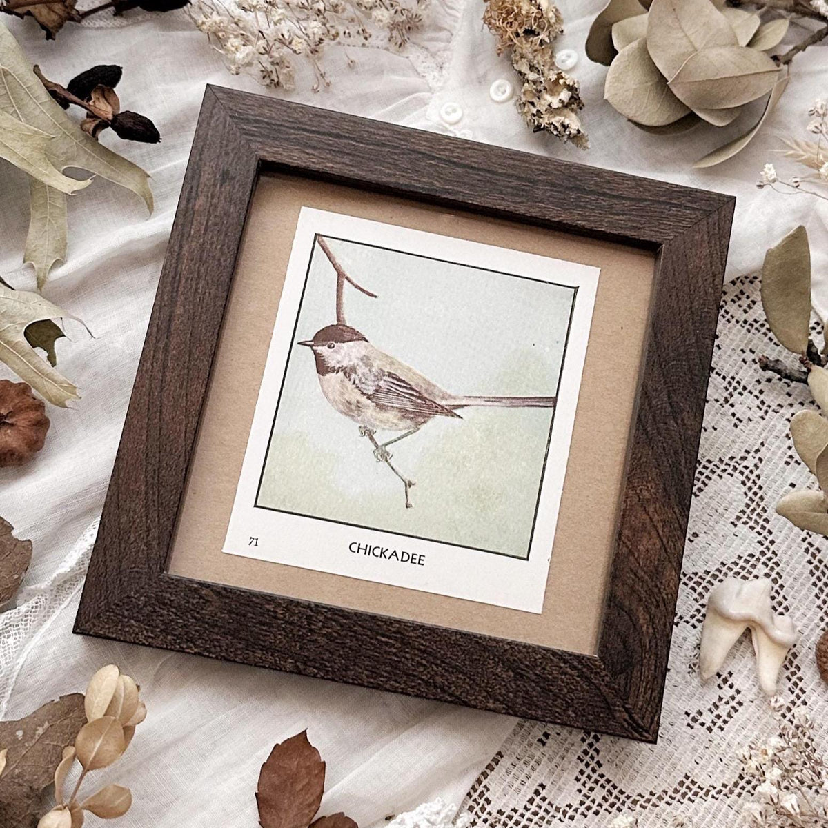 1931 The Chickadee – 4x4 Framed Vintage 1930's Bird Print