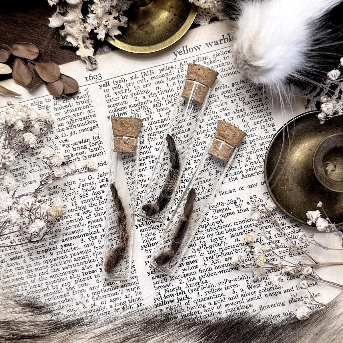 Petite Tarantula Leg in Glass Vial – No. 13