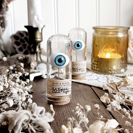 One Vintage Blue Doll Eye in Glass Dome – No. 01