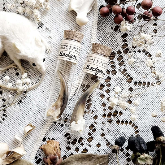 One Real Badger Claw in Glass Vial – No. 01