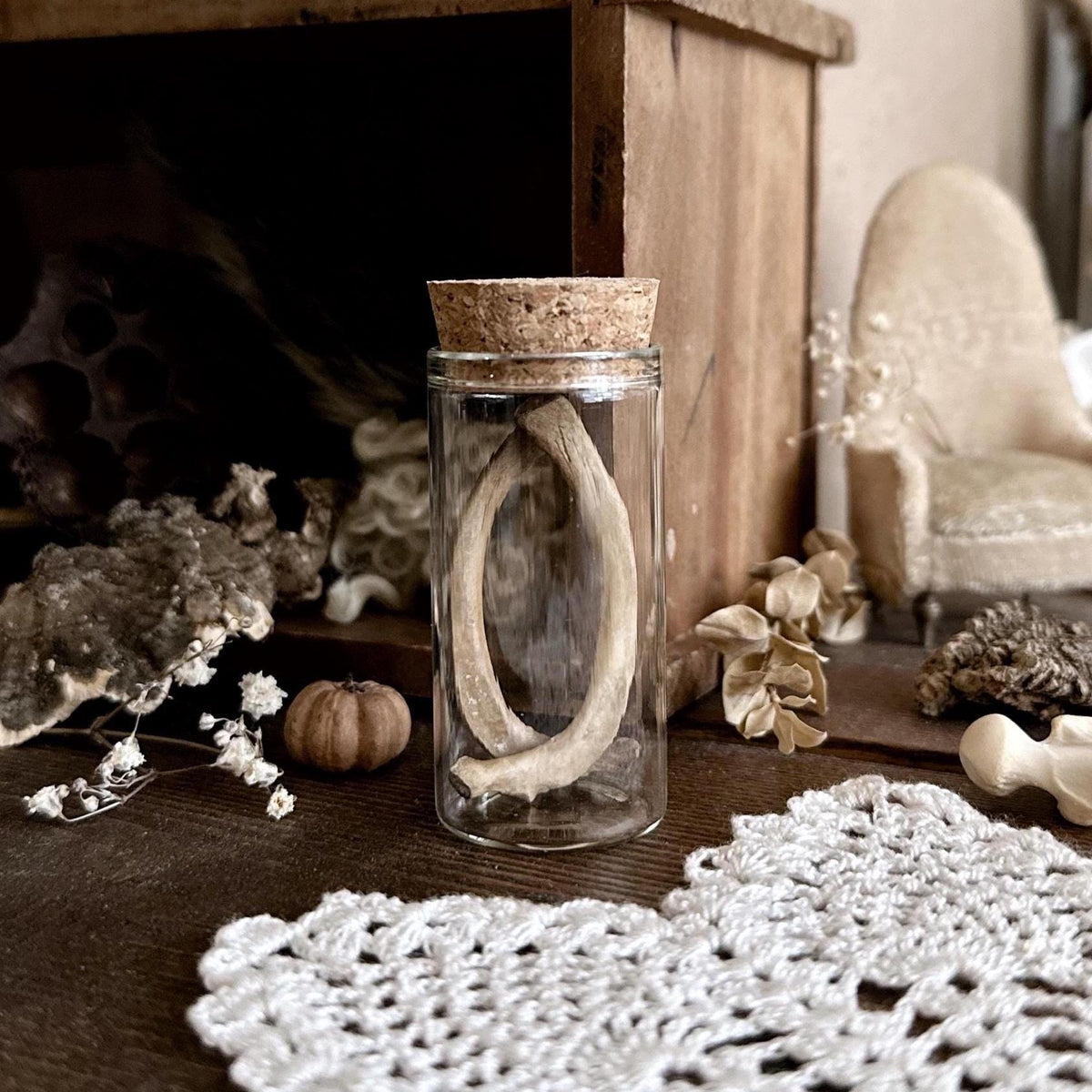 Real Rustic Beaver Rib Bones in Glass Vial – No. 01