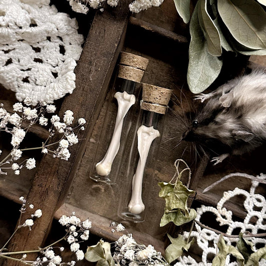 One Real Squirrel Humerus Bone in Glass Vial – No. 02