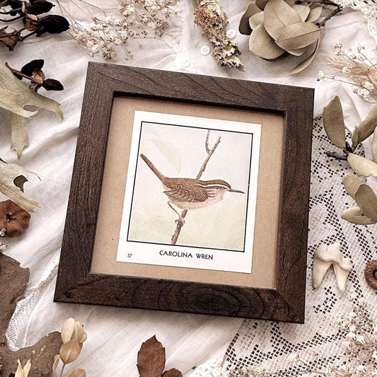 1931 The Carolina Wren – 4x4 Framed Vintage 1930's Bird Print