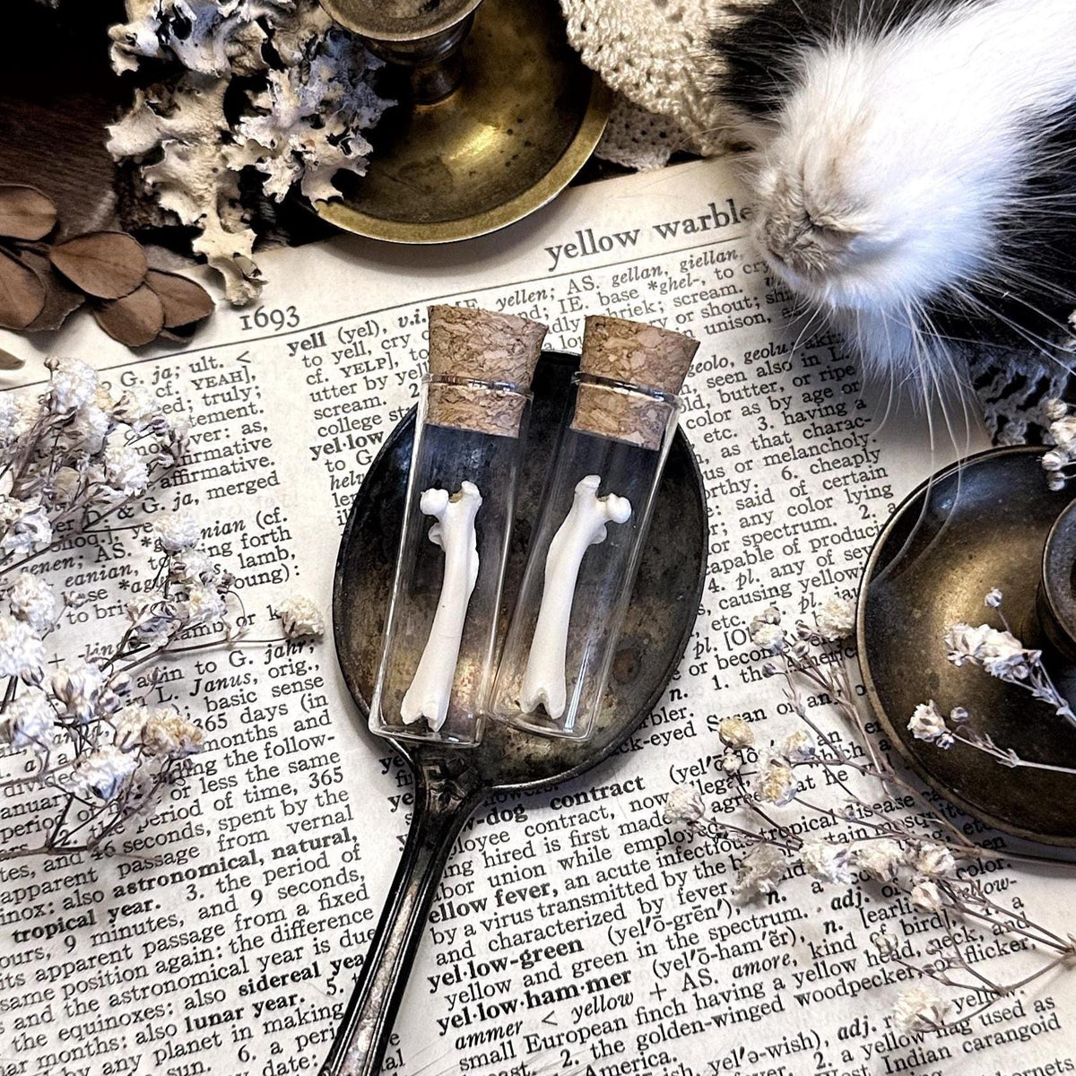 One Real Petite Rat Femur Bone in Glass Vial – No. 01