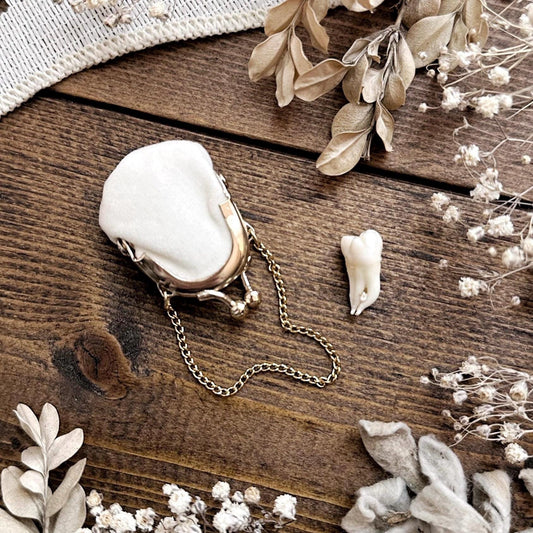 Real Human Tooth in Miniature Doll Purse – No. 05