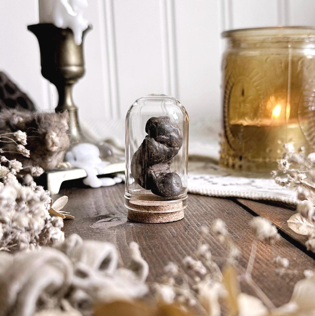 Real Petite Coprolite Fossil in Glass Dome – No. 07