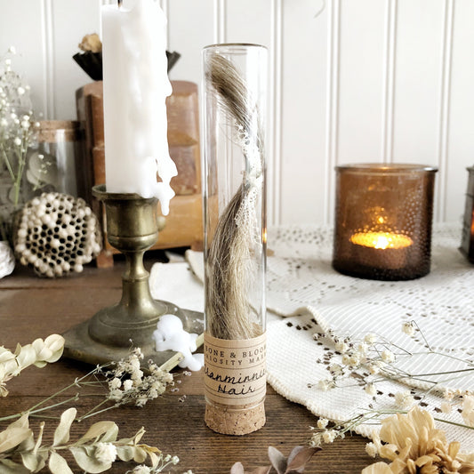 My Granminnie's Hair in Glass Vial – No. 01