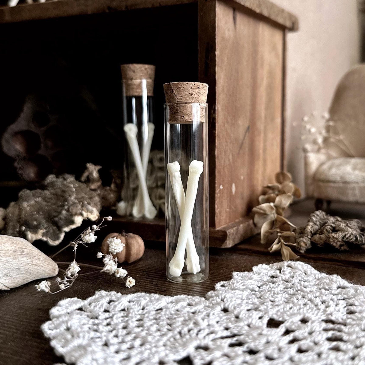 Real Fox Foot Bones in Glass Vial – No. 01