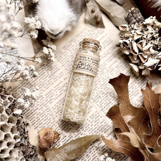 Real Corn Snake Skin in Glass Vial – No. 02