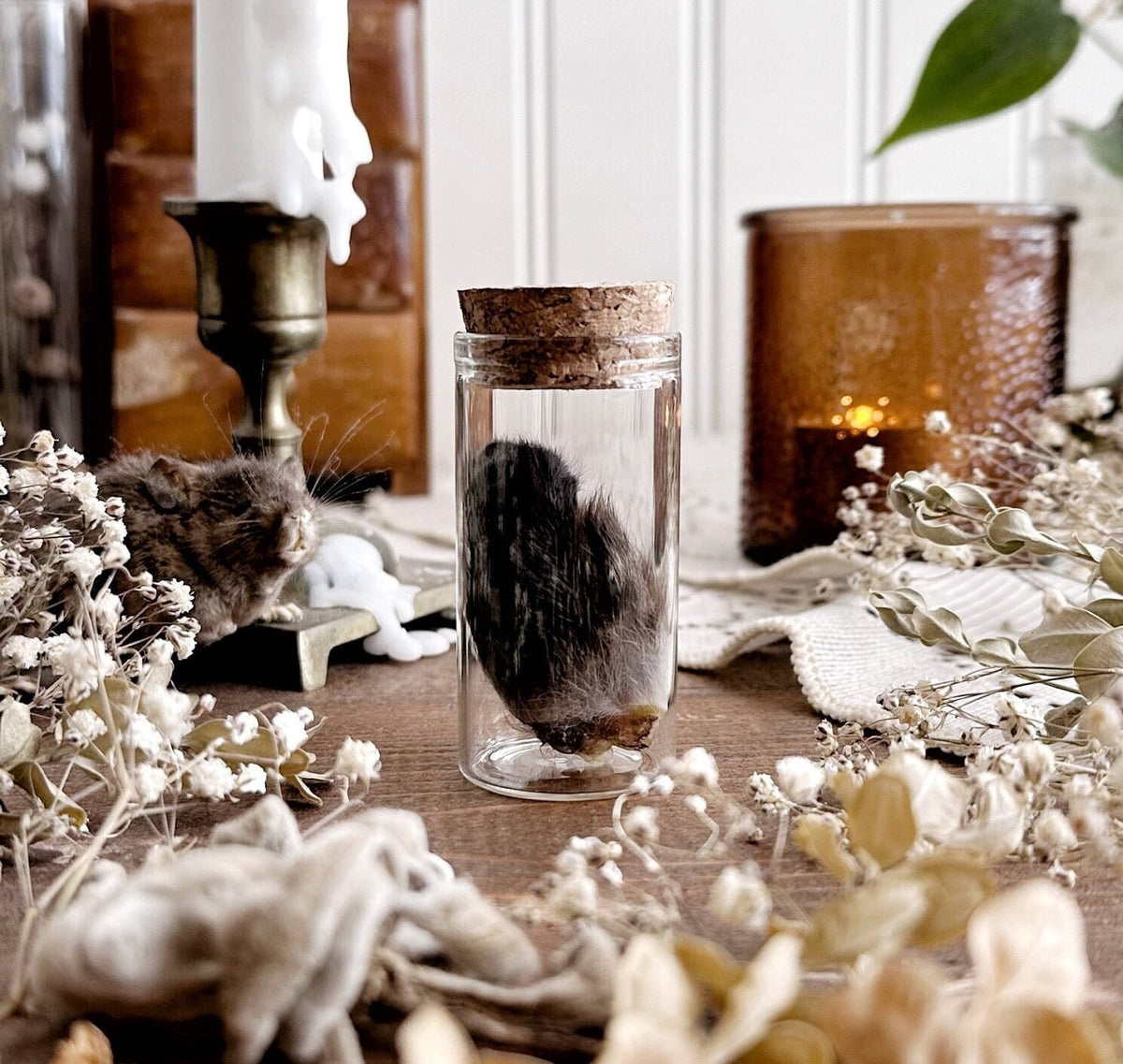 Petite Black Rabbit Ear in Glass Vial – No. 07