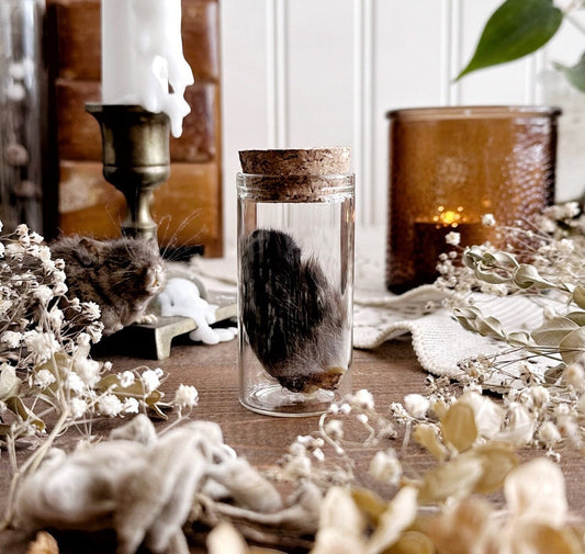 Petite Black Rabbit Ear in Glass Vial – No. 07
