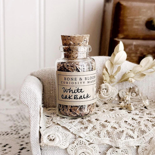 Dried White Oak Bark in Glass Vial – No. 11