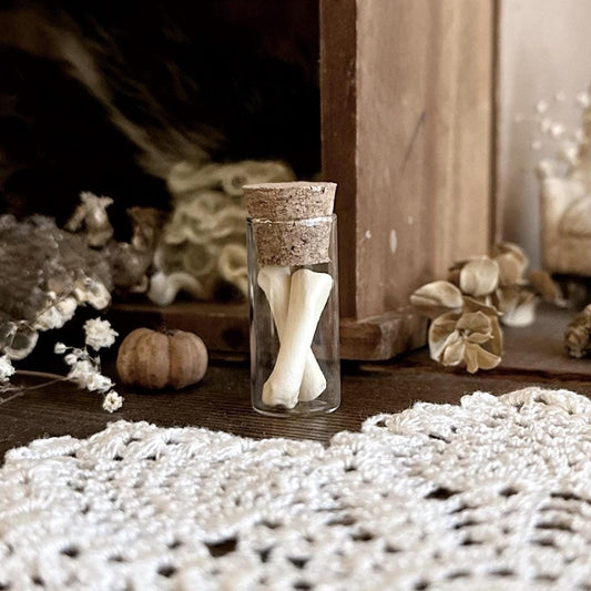 Real Beaver Foot Bones in Glass Vial – No. 01