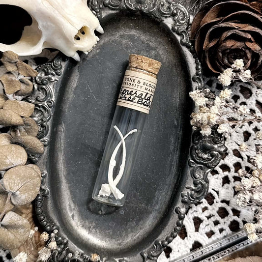 Real Petite Pathological Emerald Tree Boa Rib Bones in Glass Vial – No. 04