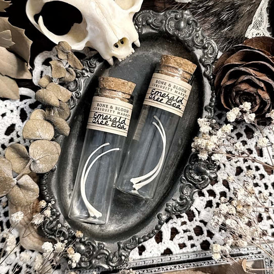 Real Emerald Tree Boa Rib Bones in Glass Vial – No. 01