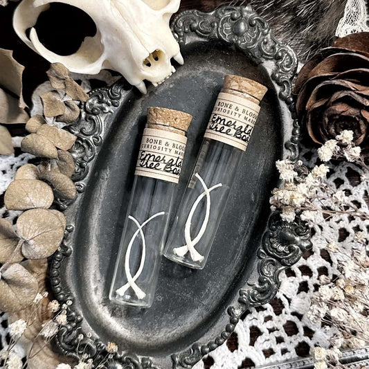 Real Petite Emerald Tree Boa Rib Bones in Glass Vial – No. 02