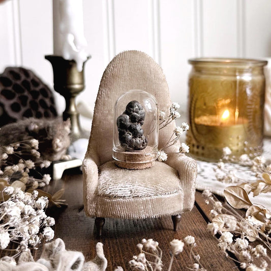 Real Tiny Coprolite Fossil in Glass Dome – No. 08