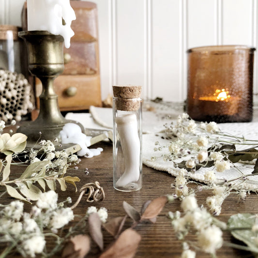 Petite Vintage Porcelain Doll Leg in Glass Vial – No. 82