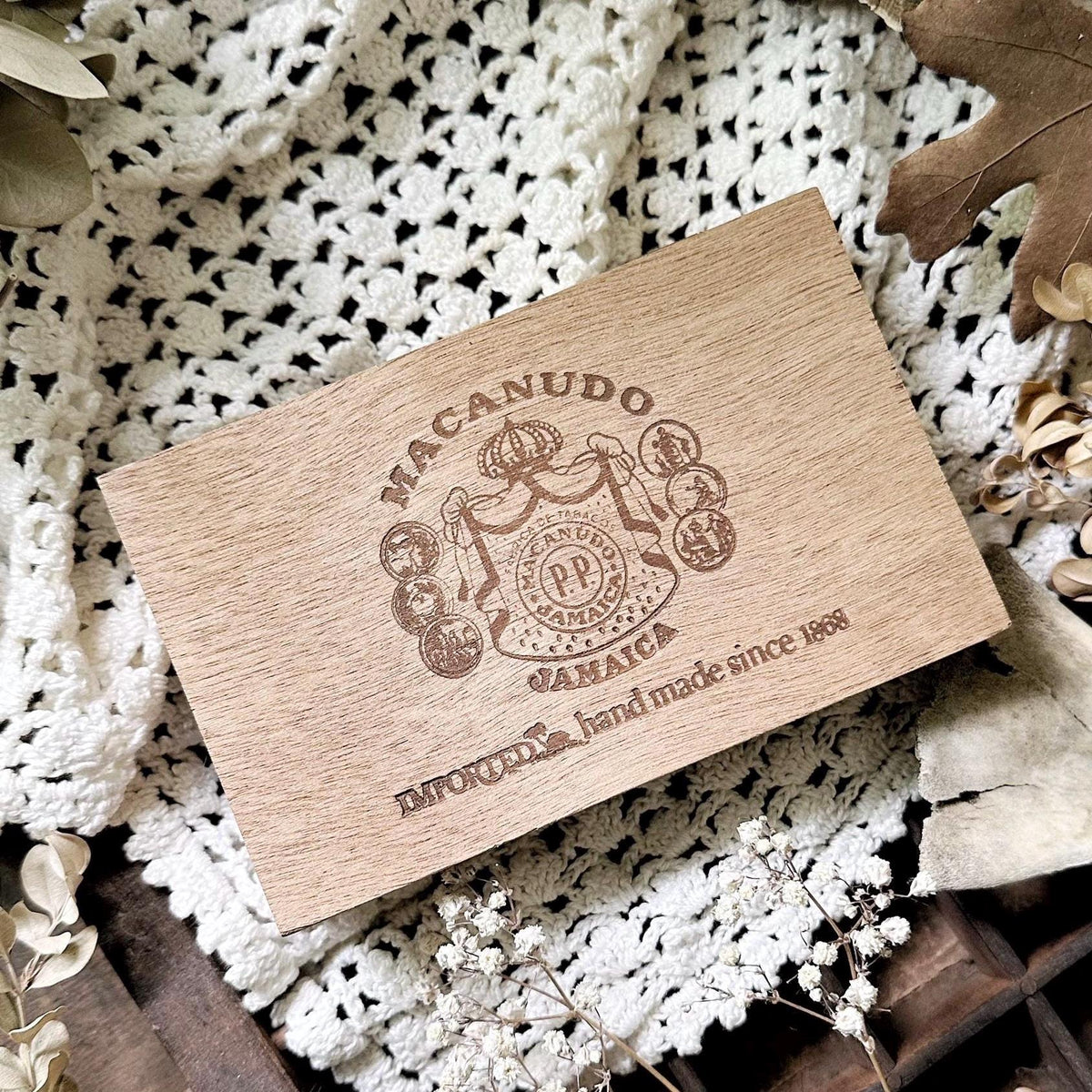 Gorgeous Petite Natural History Collection in Cigar Box