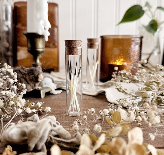 Real Porcupine Quills in Glass Vial