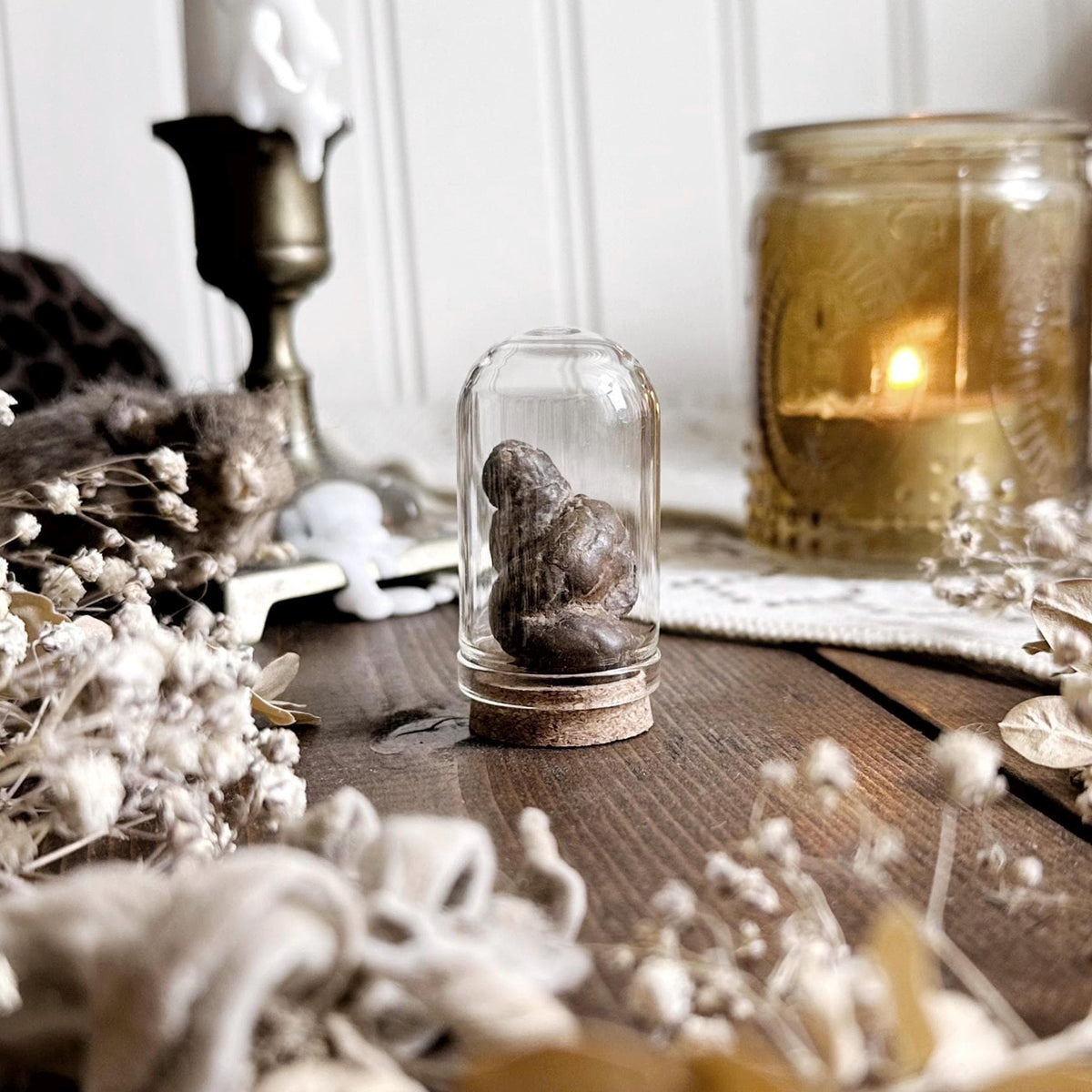 Real Petite Coprolite Fossil in Glass Dome – No. 02