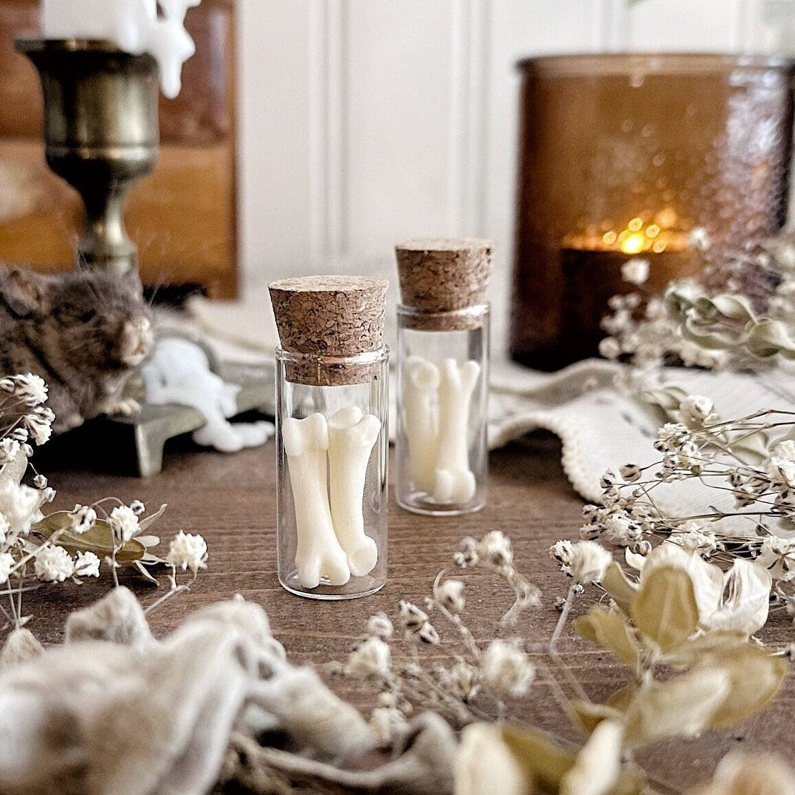 Real Fox Foot Bones in Glass Vial