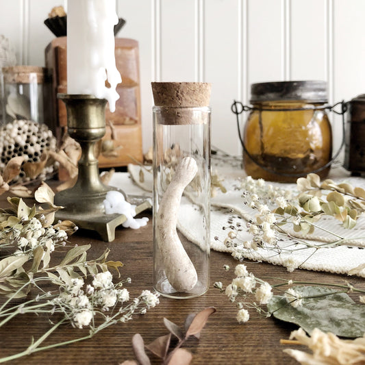 Vintage Porcelain Doll Arm in Glass Vial – No. 01