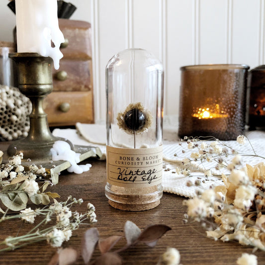 Vintage Fuzzy Doll Eye in Glass Dome – No. 02