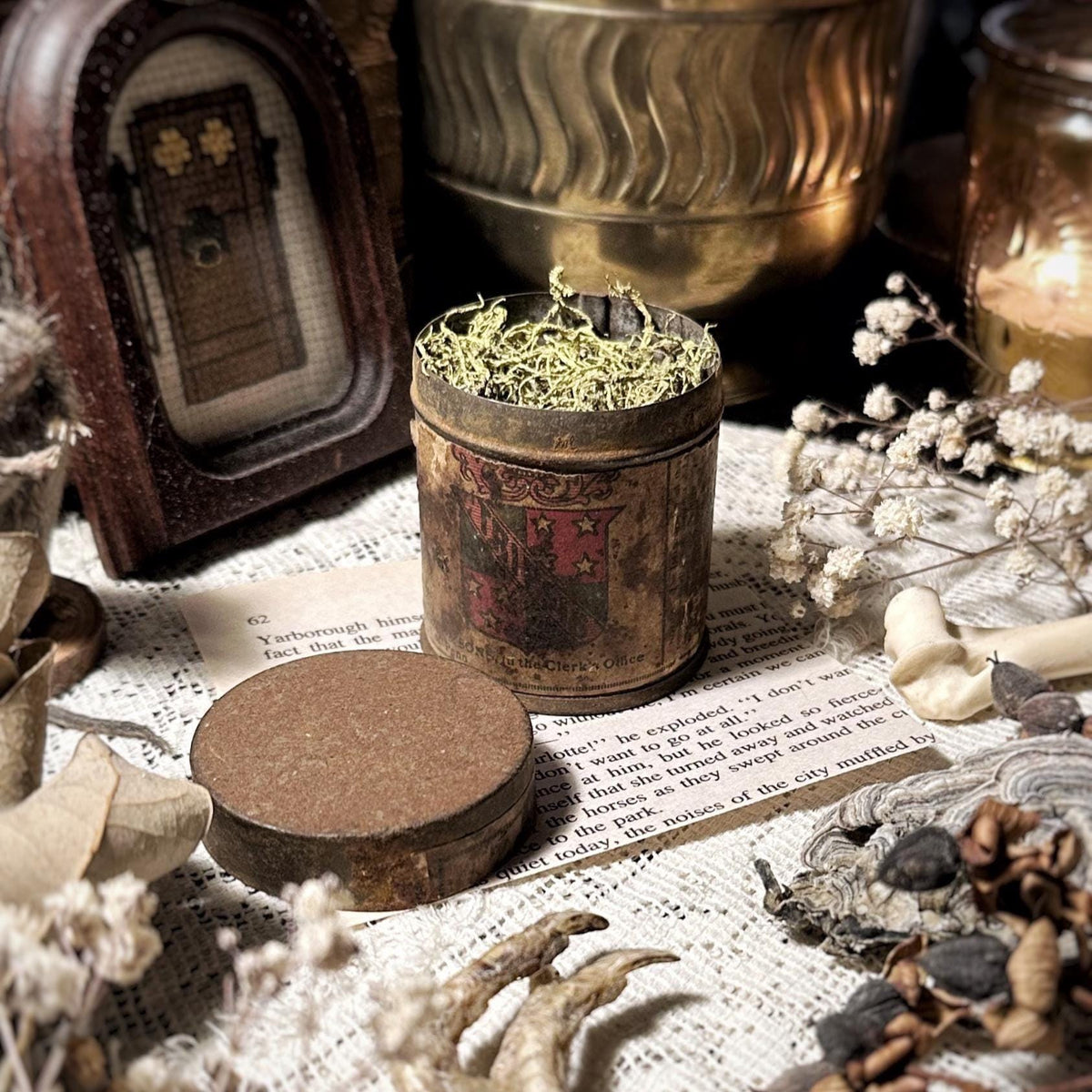 Vintage Rusty Snuff Tin, Dried Lichen – No. 09