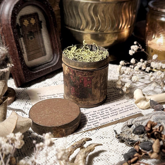 Vintage Rusty Snuff Tin, Dried Lichen – No. 09