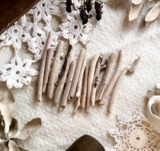 Natural Oregon Driftwood Collection – No. 17