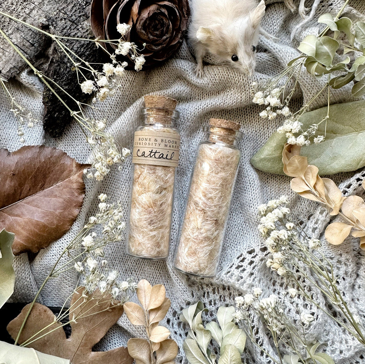 Dried Cattail Fluff in Glass Vial