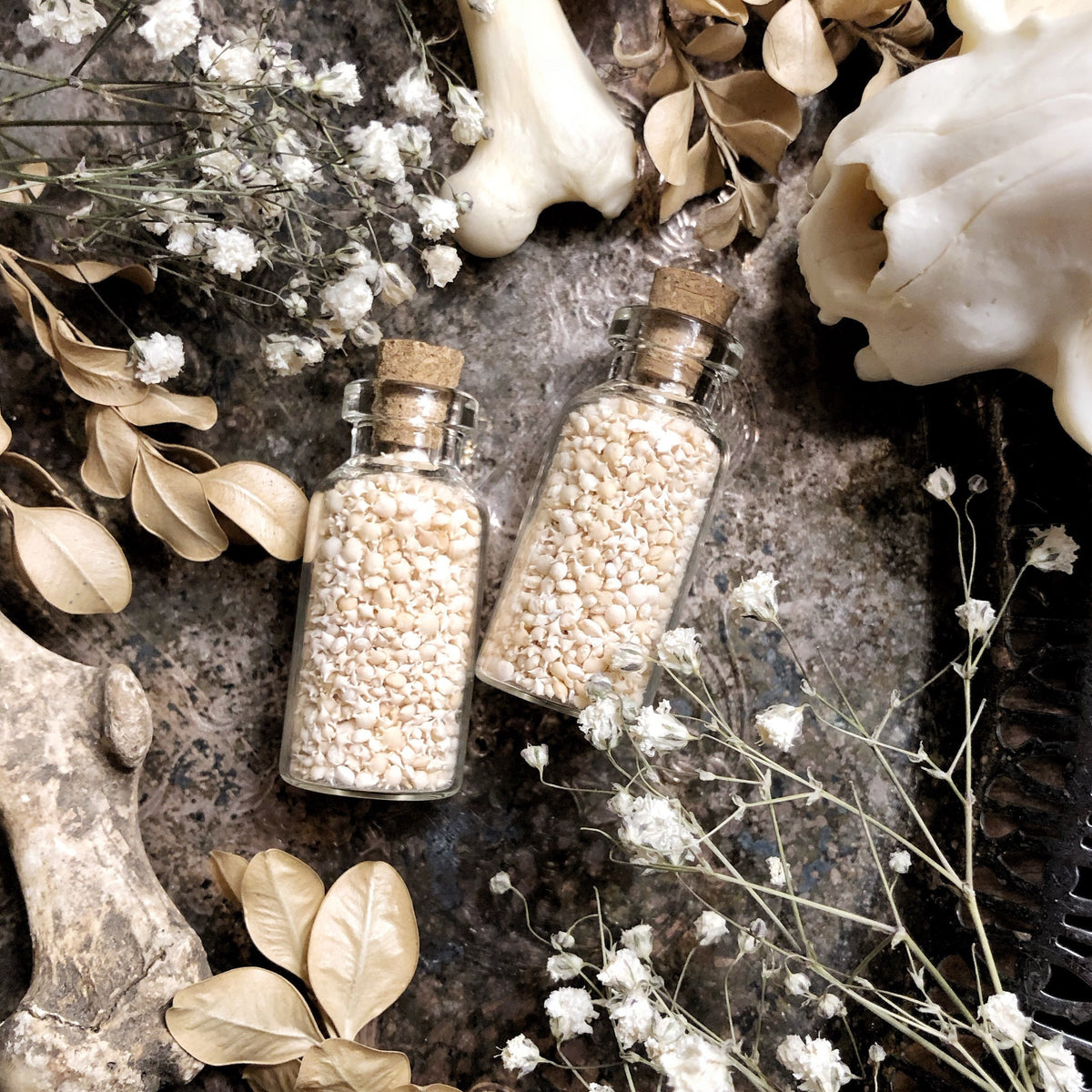 Real Hand Sorted Okinawa Star Sand in Glass Vial
