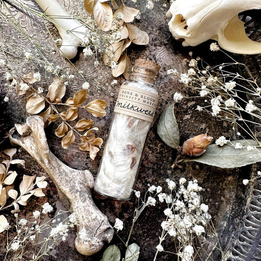Dried Milkweed Fluff in Glass Vial