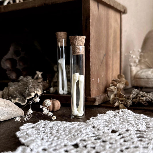 Real Fox Foot Bones in Glass Vial – No. 02