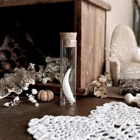 Real Opossum Tooth in Glass Vial – No. 01