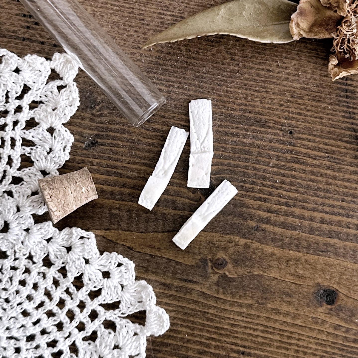 Real Armadillo Bone Plates in Glass Vial – No. 01