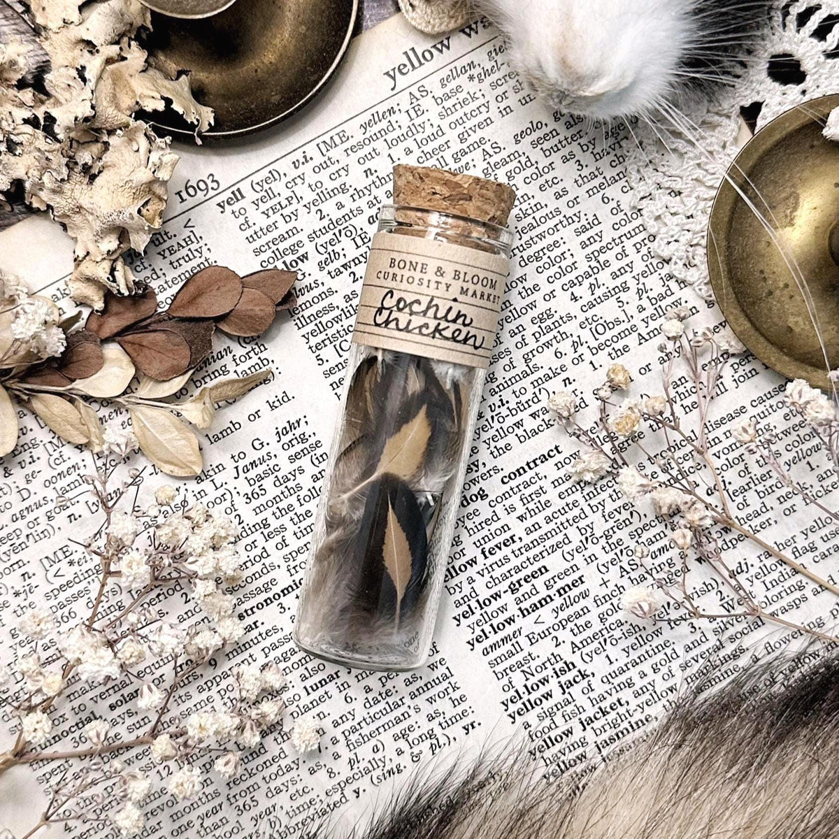 Real Petite Chicken Feathers in Glass Vial