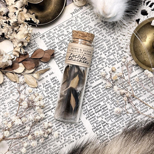 Real Petite Chicken Feathers in Glass Vial