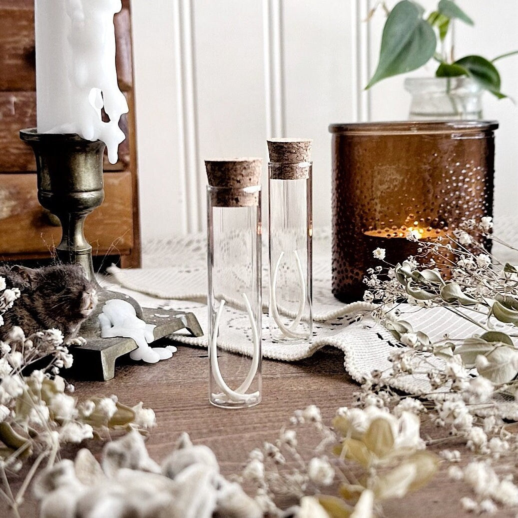 Real Squirrel Rib Bones in Glass Vial – No. 01