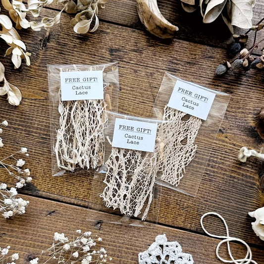 Free Gift – Cactus Lace