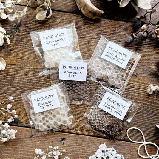 Free Gift – Snake Skin