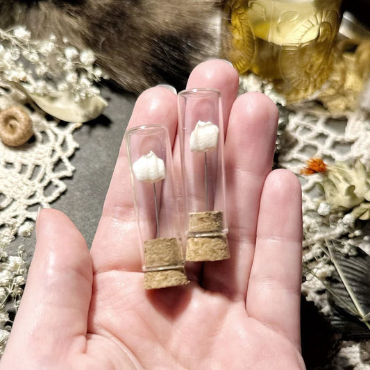 Real Tiny Stillborn Baby Goat Tooth in Glass Vial