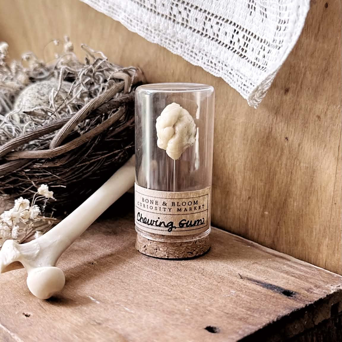 Chewed Gum Specimen in Glass Vial – No. 02