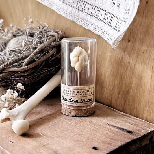 Chewed Gum Specimen in Glass Vial – No. 02