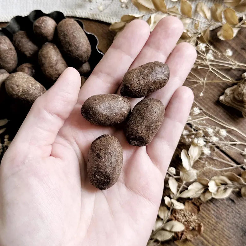 One Real Dried Moose Pellet