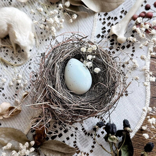 Real Petite Bird's Nest With Real Blue Quail Egg – No. 04