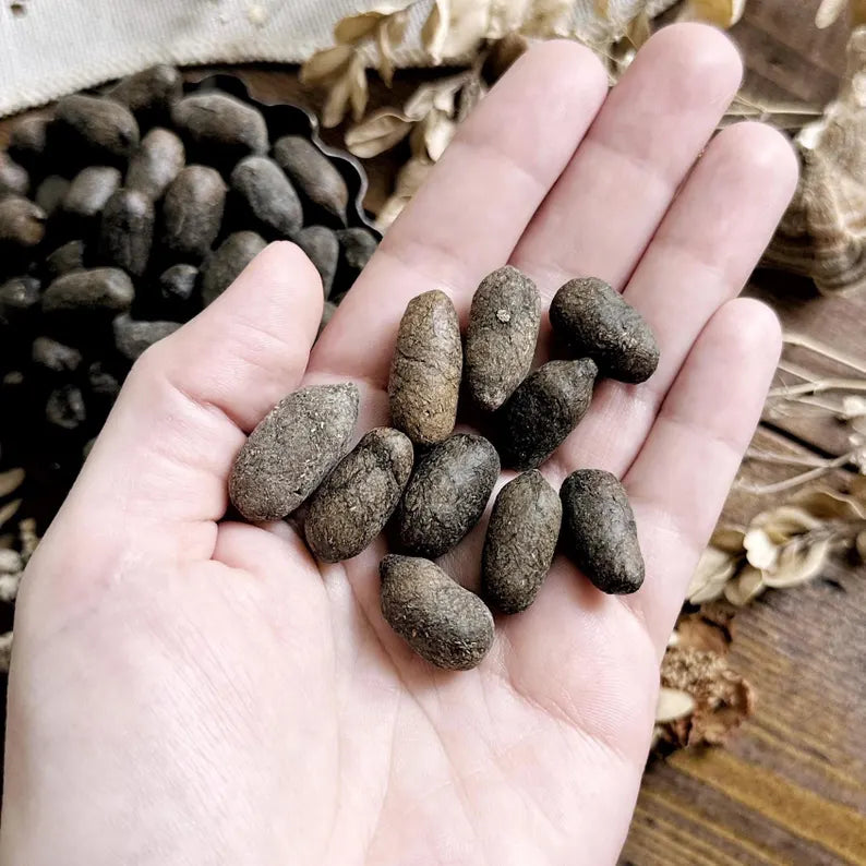 Collection of 24 Real Dried Llama Pellets