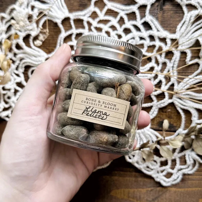 Real Dried Llama Pellets in Glass Jar